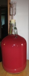 Currant Wine fermenting with airlock in place